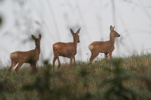 25.08.2019