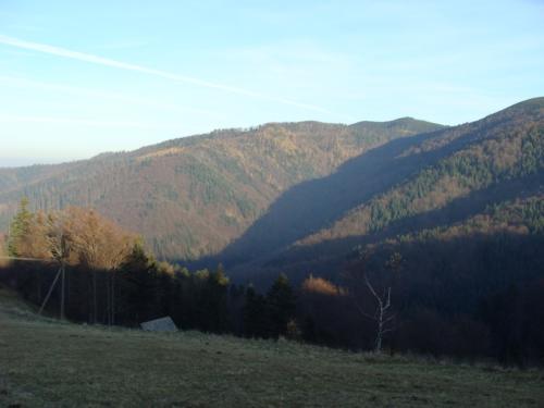 DSC00290