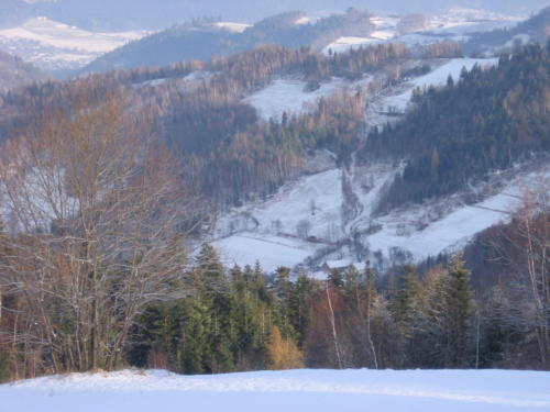 Obraz 003