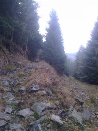 Zdjęcie0112
