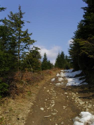 konieczna