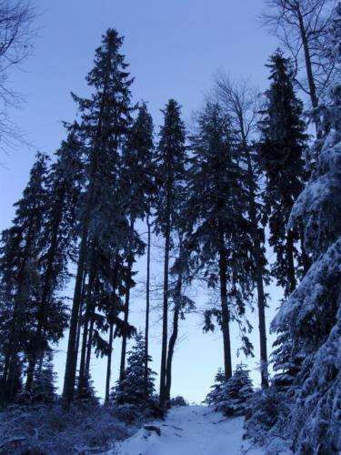 zima2